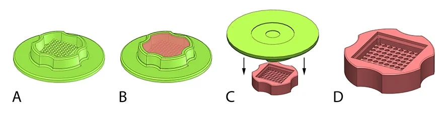 3D Petri Dish micro-mold workflow: cast agarose, equilibrate with media, seed cells, form microtissues